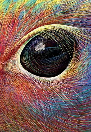 Couverture du livre ~ Les Idées sont de drôles de bestioles