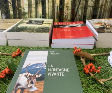 zoom sur la décoration du présentoir de la sélection