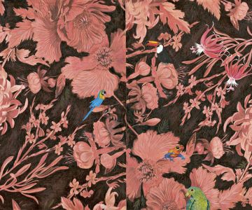 Dessin Joanna Concejo