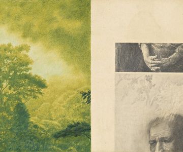 Dessin Joanna Concejo