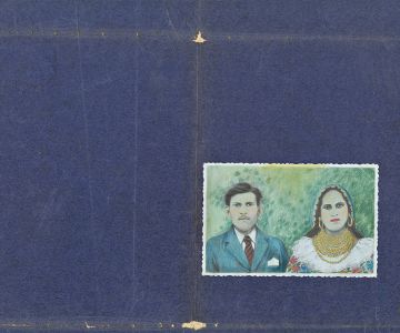 Dessin Joanna Concejo