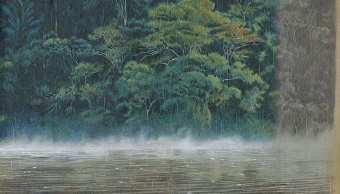 Dessin Joanna Concejo