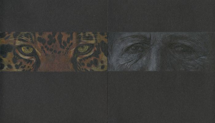 Dessin Joanna Concejo